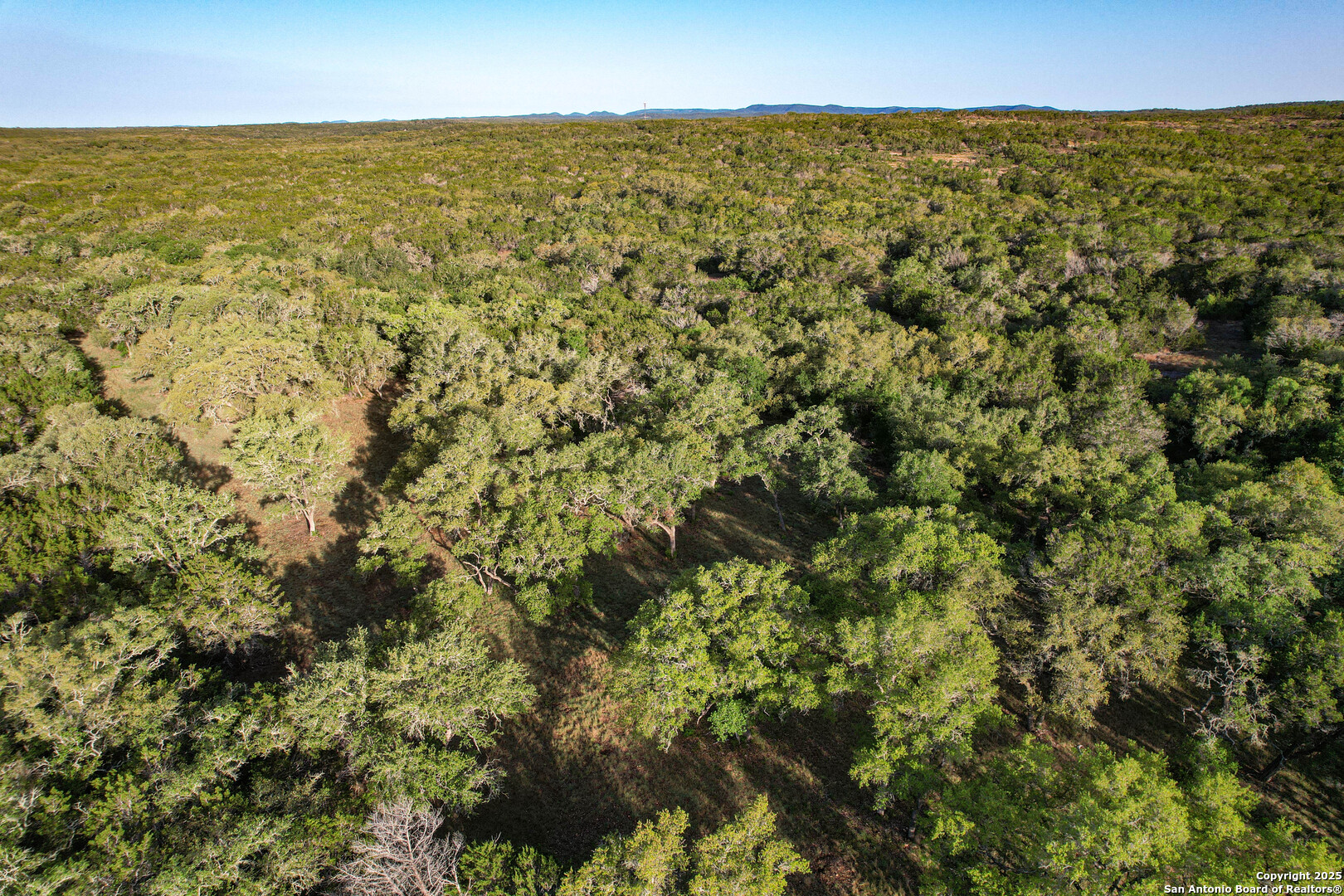Tbd Pr 233 Hondo, TX 78861 - Photo 10 of 35