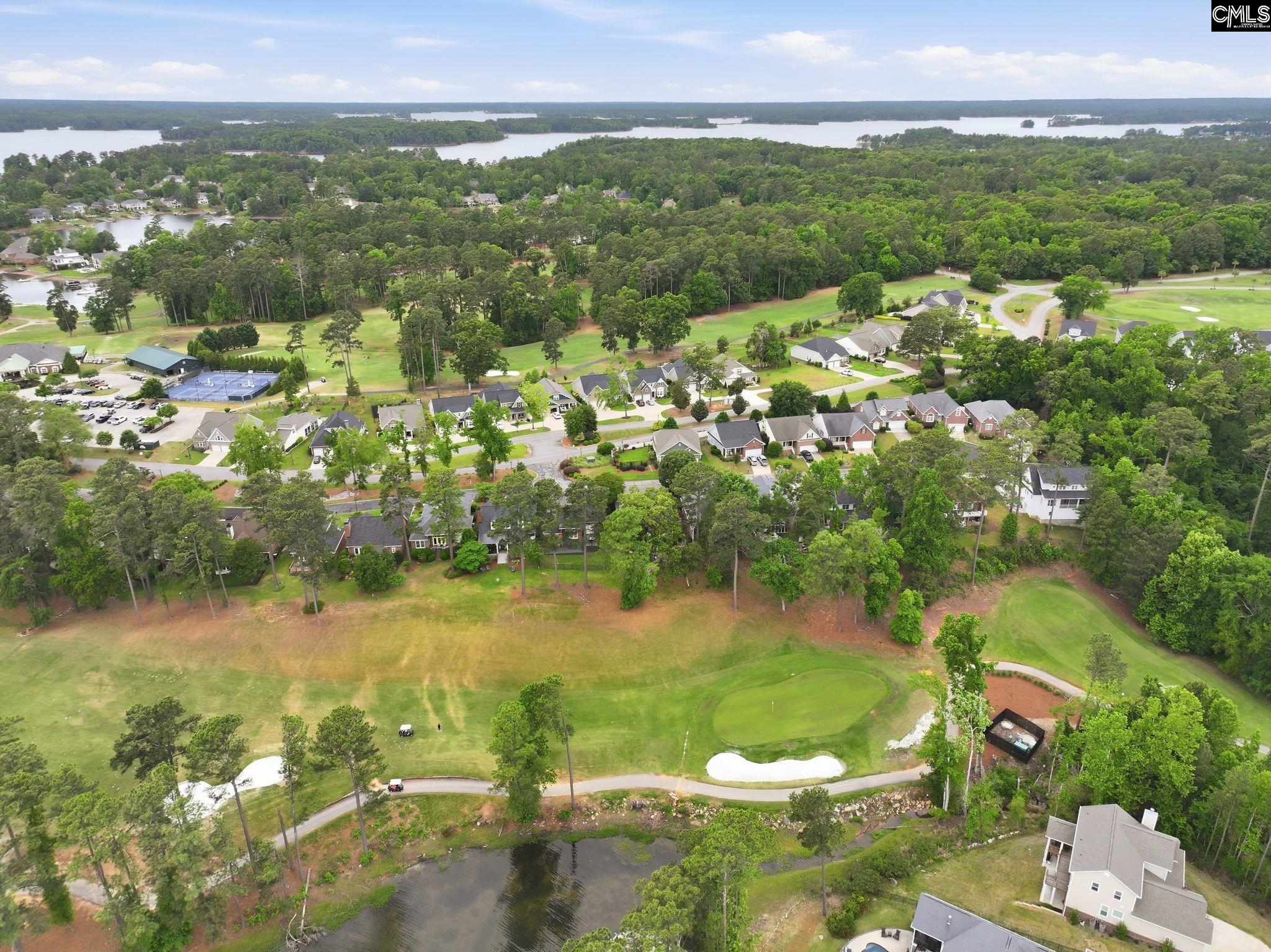 212 Bays End Court Chapin, SC 29036 - Photo 51 of 52