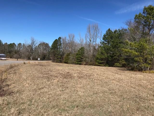 0 Highway 23 Modoc, SC 29838 - Photo 1 of 20 Main View