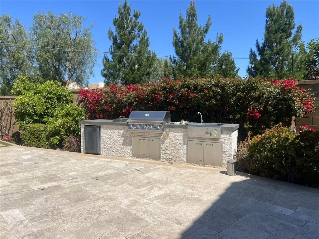 a view of a yard with plants