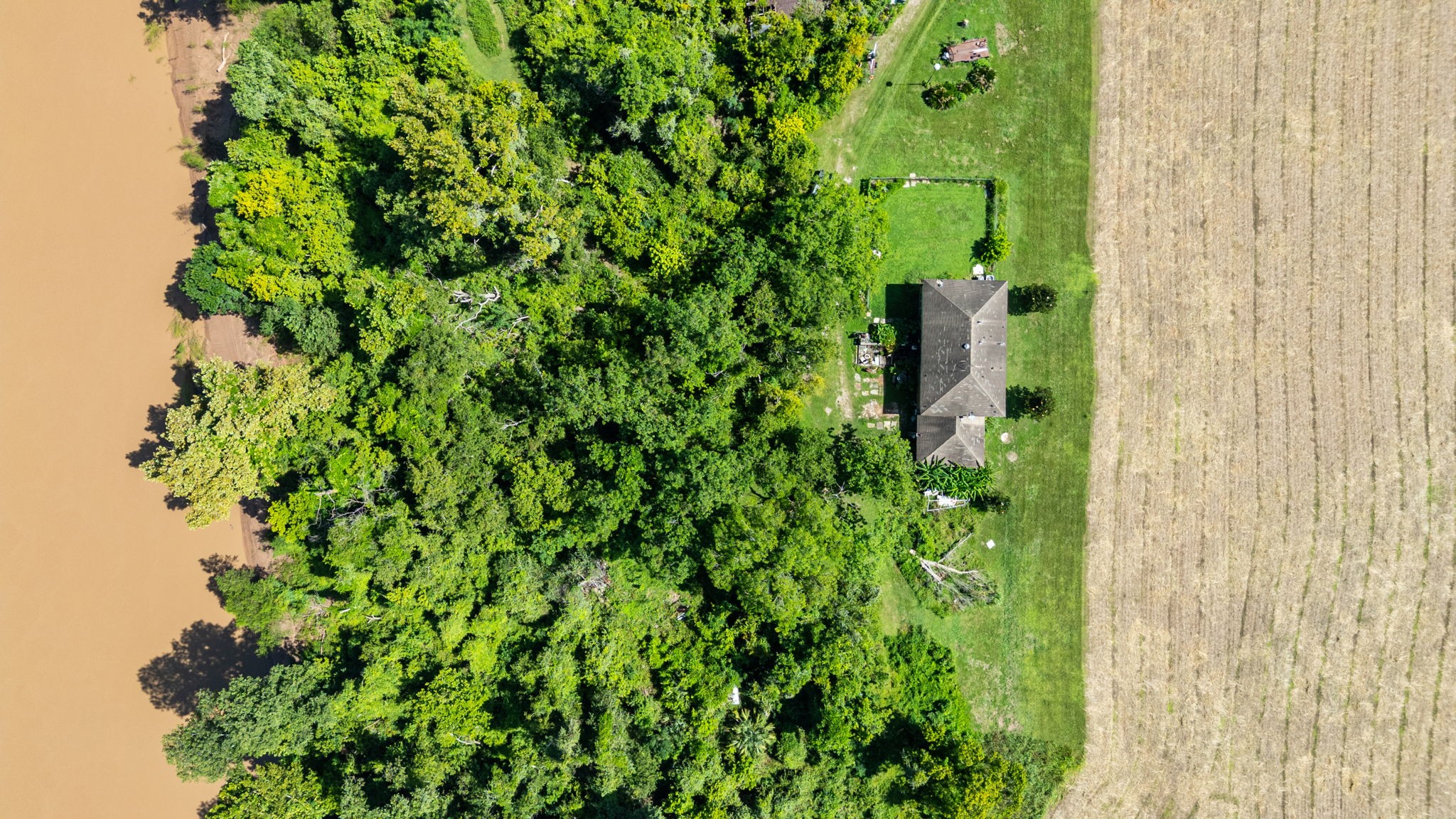 3505 Miller Road Rosharon, TX 77583 - Photo 4 of 15 a view of a garden with a plant