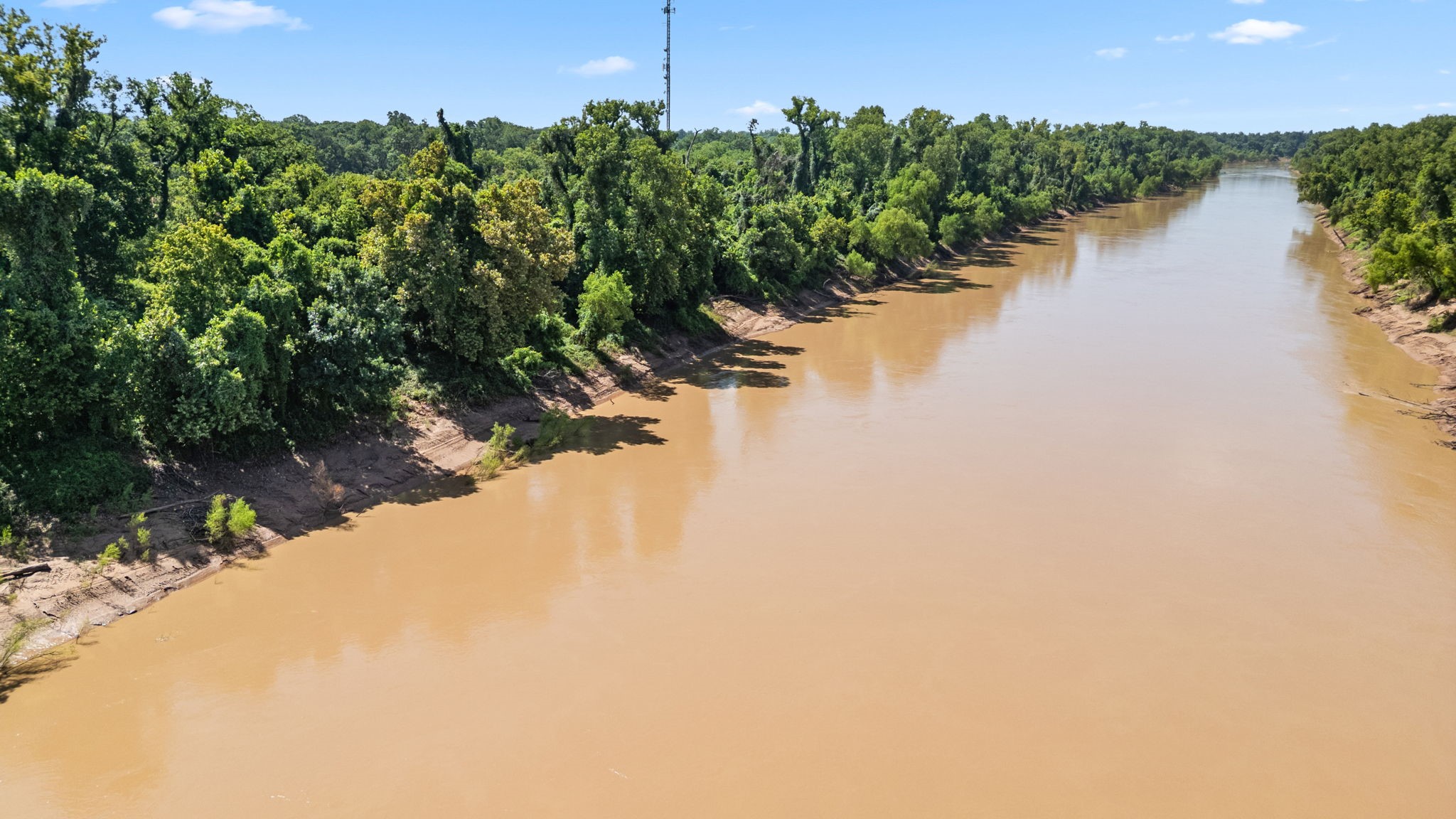 3505 Miller Road Rosharon, TX 77583 - Photo 6 of 15 a view of a lake in a forest