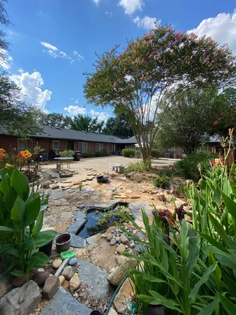 a view of a lake with a tree