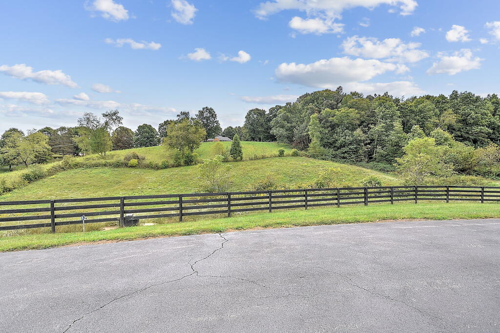 29458 Blue Spring Road Meadowview, VA 24361 - Photo 94 of 104 Gallery Image 94