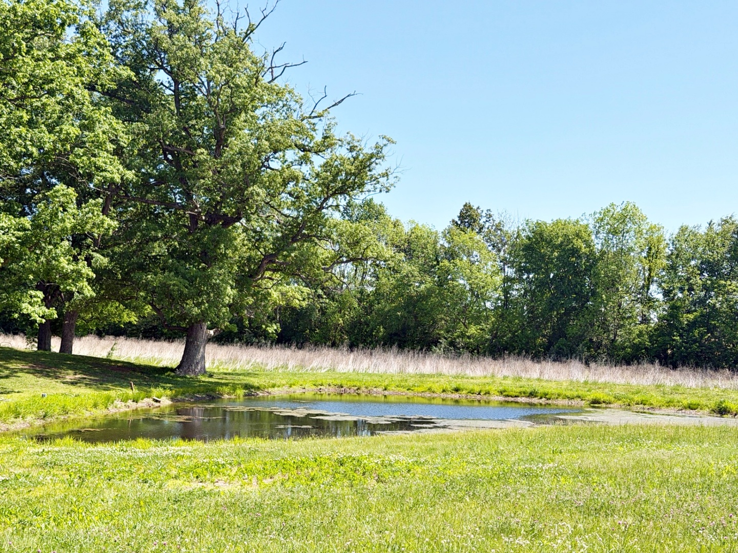 6945 Unity School Road Brookport, IL 62910 - Photo 41 of 42