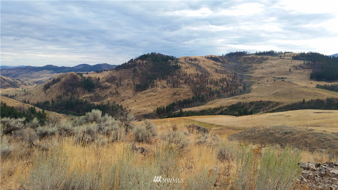 0 Tbd Trophy Road Tonasket, WA 98855 - Photo 1 of 16 Gallery Image 1