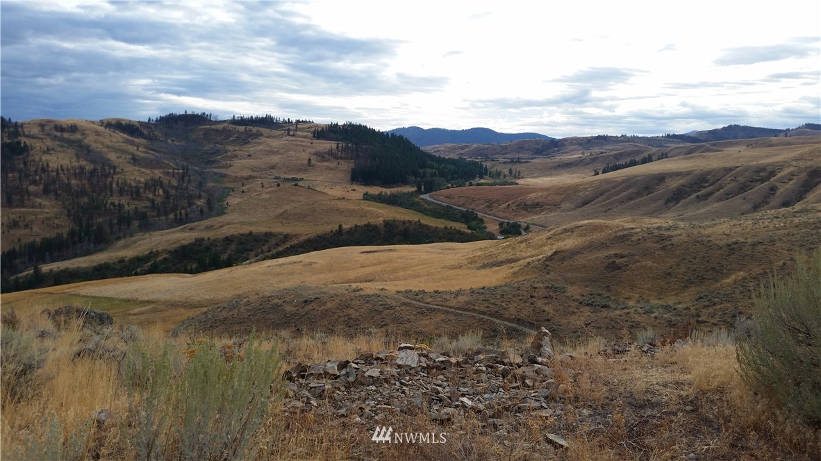 0 Tbd Trophy Road Tonasket, WA 98855 - Photo 2 of 16 Gallery Image 2