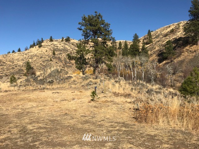 0 Tbd Trophy Road Tonasket, WA 98855 - Photo 11 of 16 Gallery Image 11