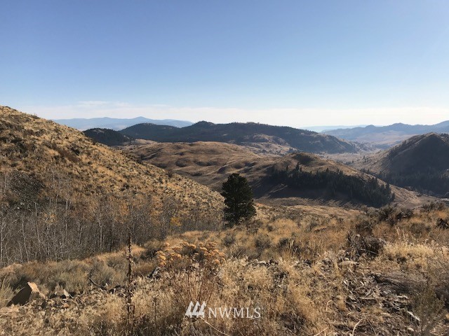 0 Tbd Trophy Road Tonasket, WA 98855 - Photo 12 of 16 Gallery Image 12