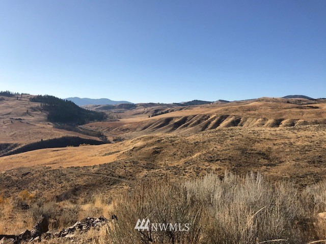 0 Tbd Trophy Road Tonasket, WA 98855 - Photo 13 of 16 Gallery Image 13