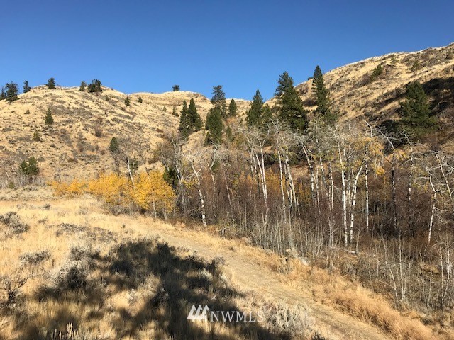 0 Tbd Trophy Road Tonasket, WA 98855 - Photo 15 of 16 Gallery Image 15