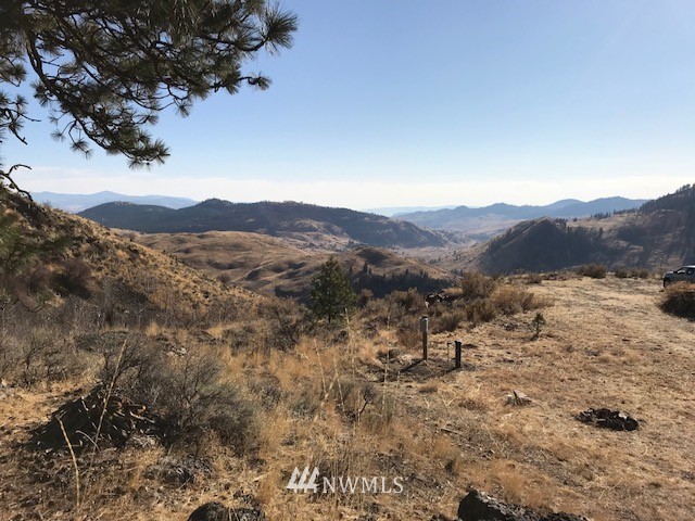 0 Tbd Trophy Road Tonasket, WA 98855 - Photo 16 of 16 Gallery Image 16