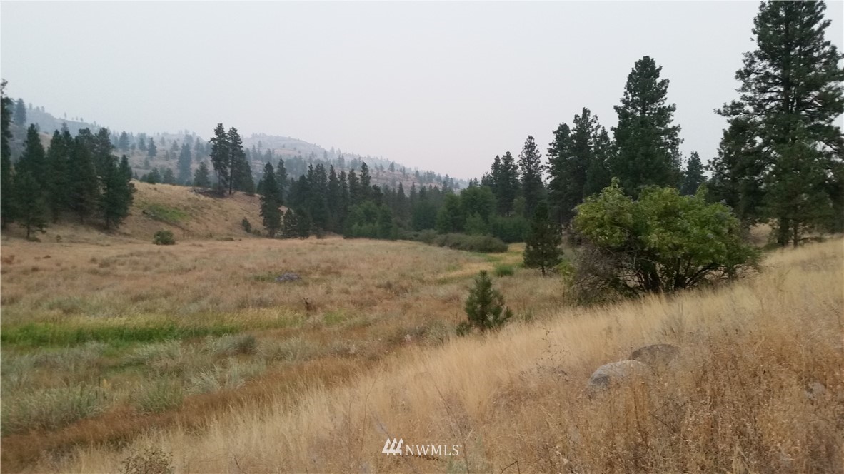 0 Tbd Trophy Road Tonasket, WA 98855 - Photo 3 of 16 Gallery Image 3