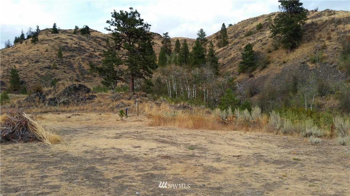 0 Tbd Trophy Road Tonasket, WA 98855 - Photo 4 of 16 Gallery Image 4