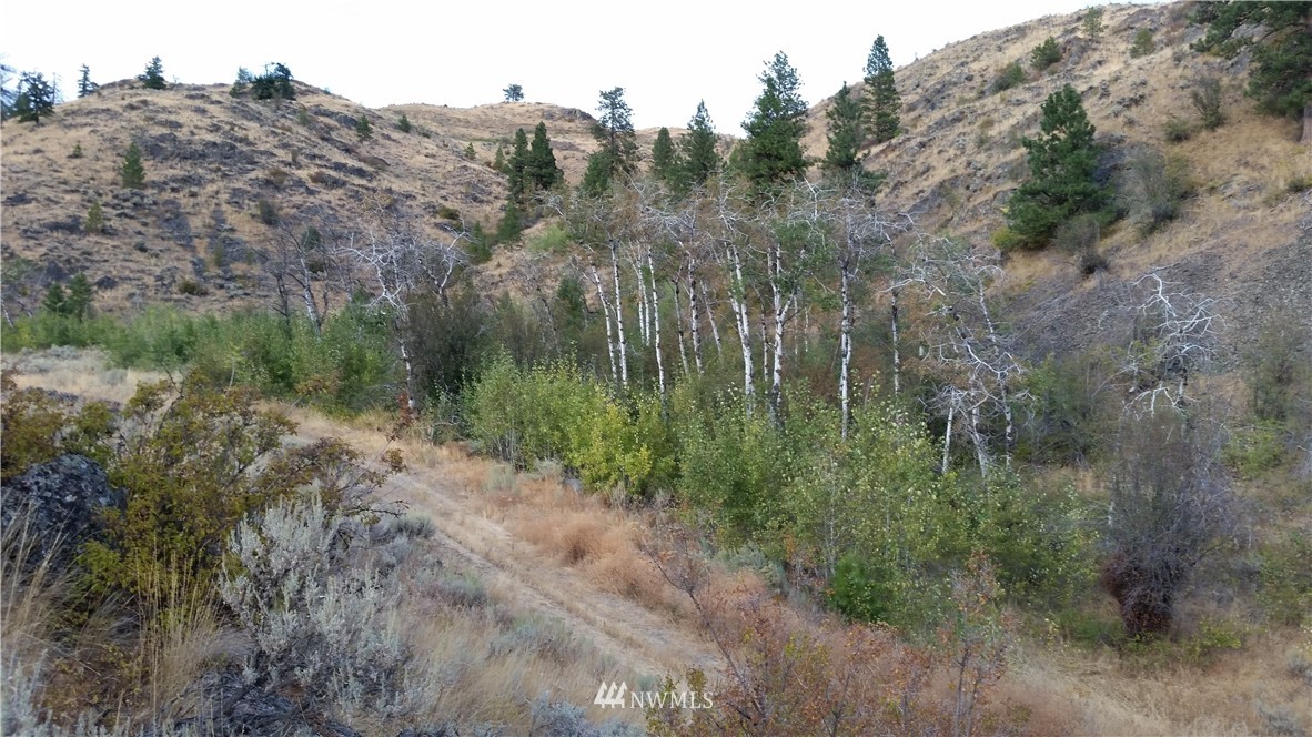 0 Tbd Trophy Road Tonasket, WA 98855 - Photo 5 of 16 Gallery Image 5