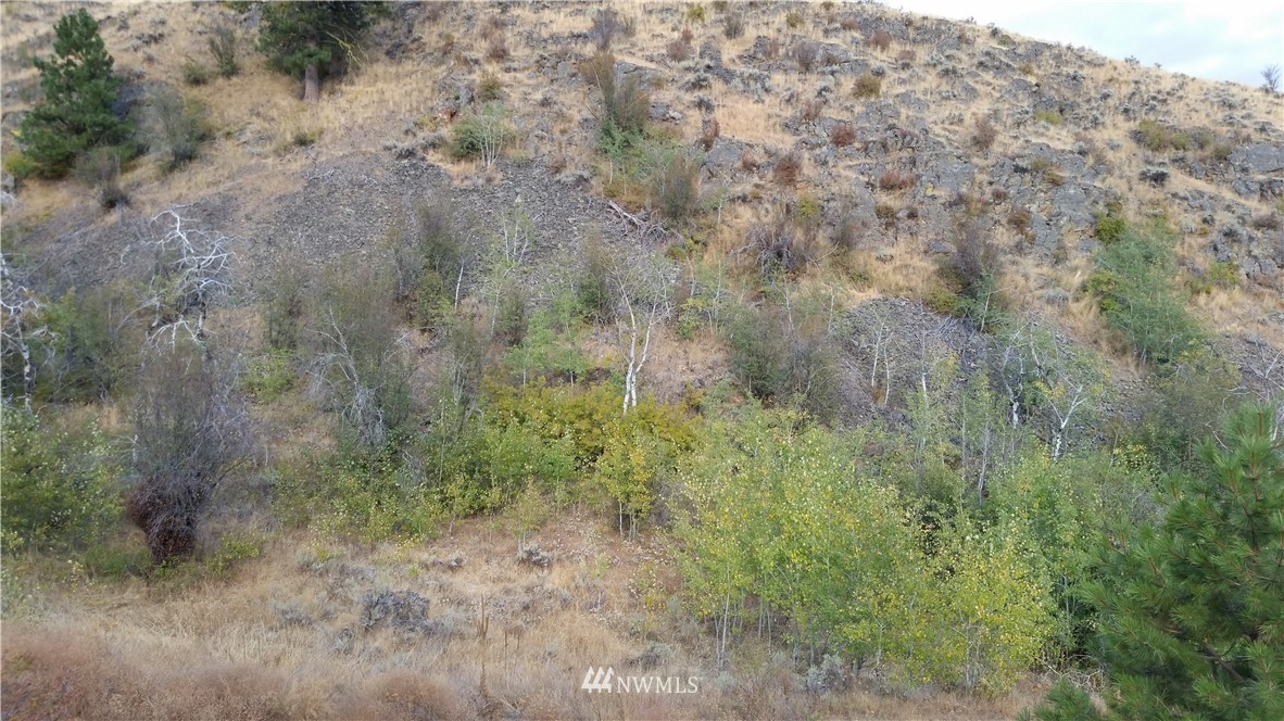 0 Tbd Trophy Road Tonasket, WA 98855 - Photo 8 of 16 Gallery Image 8