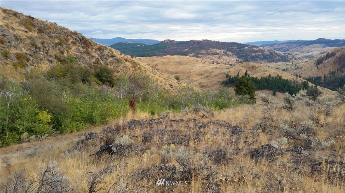 0 Tbd Trophy Road Tonasket, WA 98855 - Photo 9 of 16 Gallery Image 9