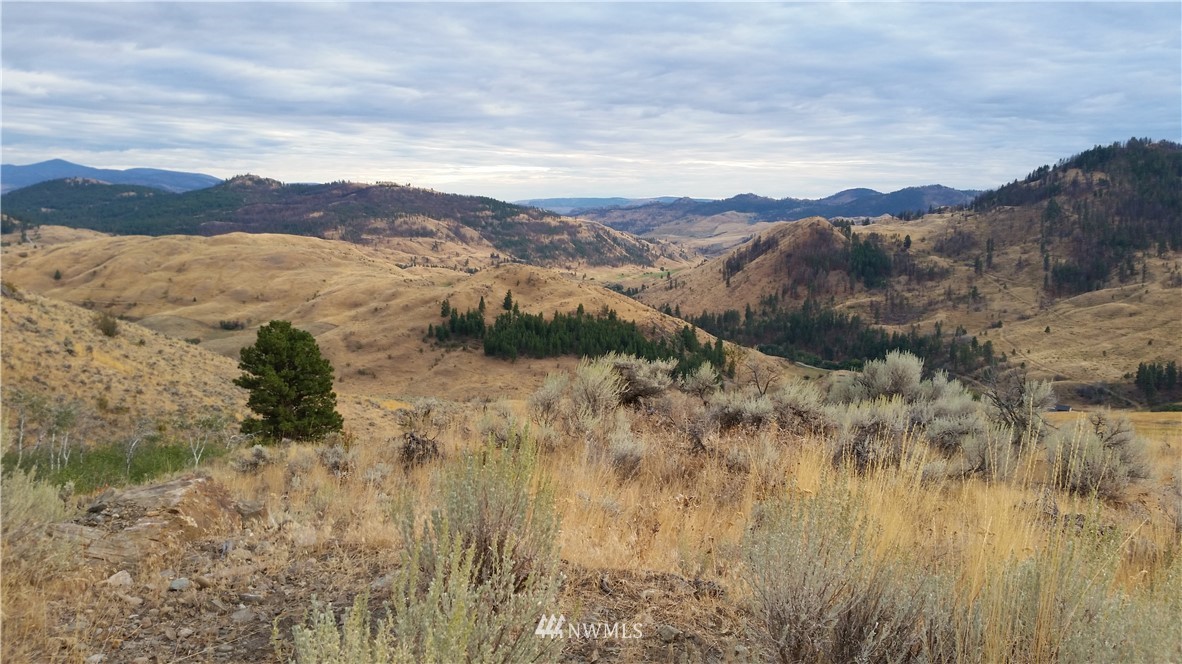 0 Tbd Trophy Road Tonasket, WA 98855 - Photo 10 of 16 Gallery Image 10