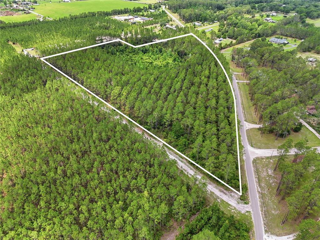 Southwest 89th Street Lake Butler, FL 32054 - Photo 7 of 15