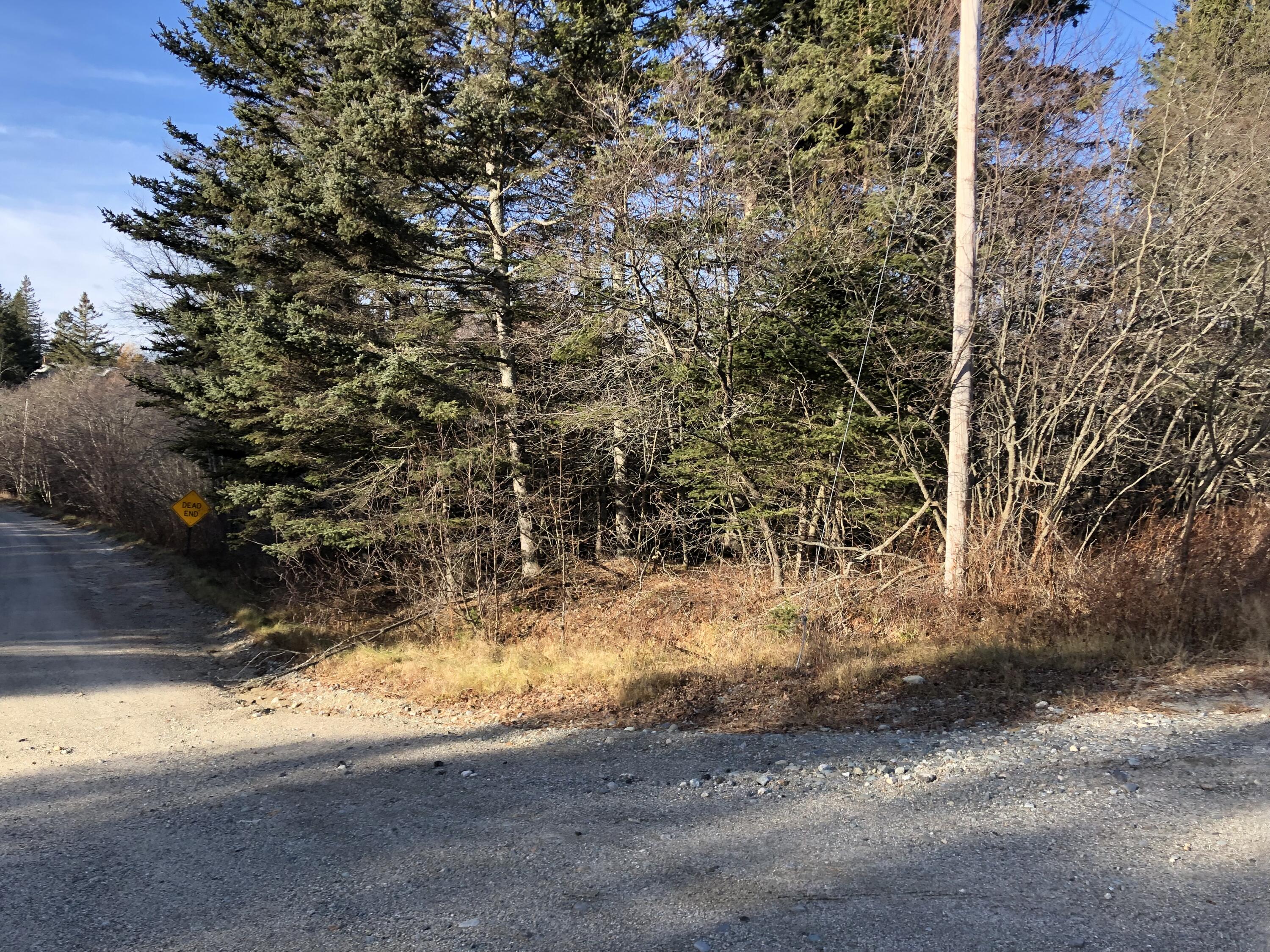 92 Cates Road Harrington, ME 04643 - Photo 10 of 43 IMG_4023