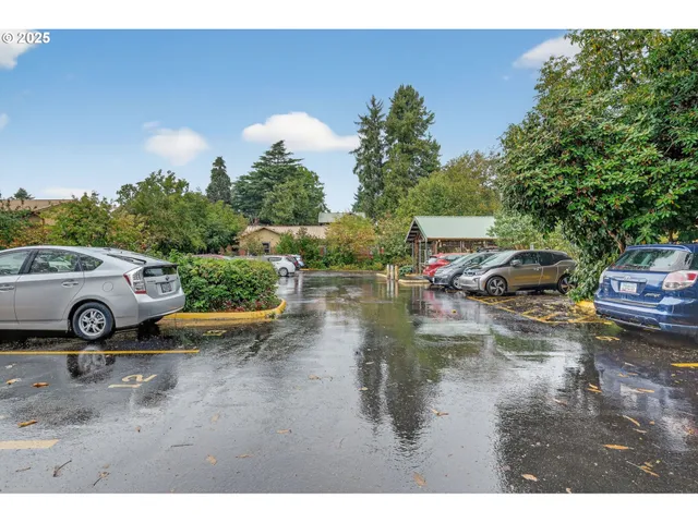 a view of yard with car parked