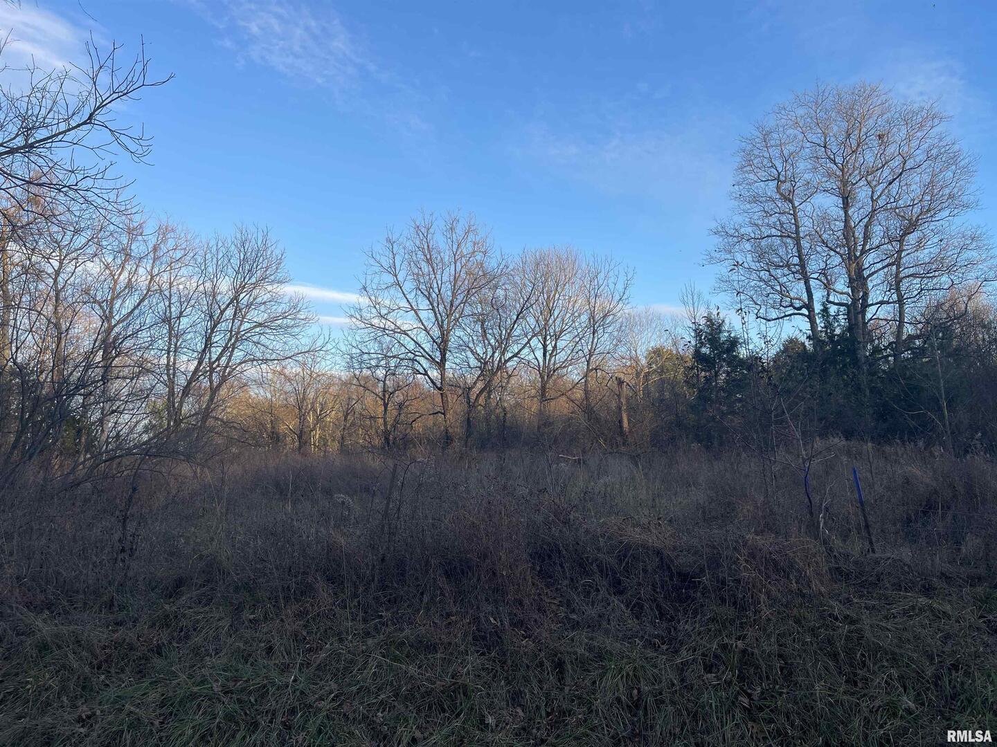 0 Raum Road Golconda, IL 62938 - Photo 13 of 14 a view of a yard