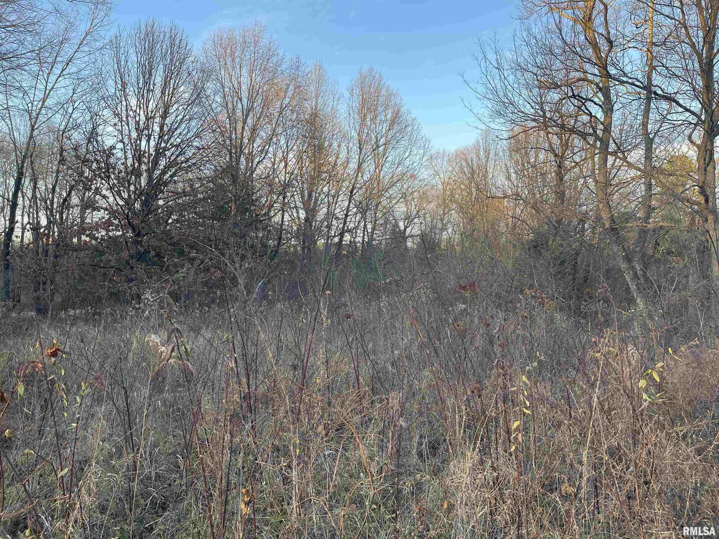 0 Raum Road Golconda, IL 62938 - Photo 14 of 14 a backyard of a house with lots of green space