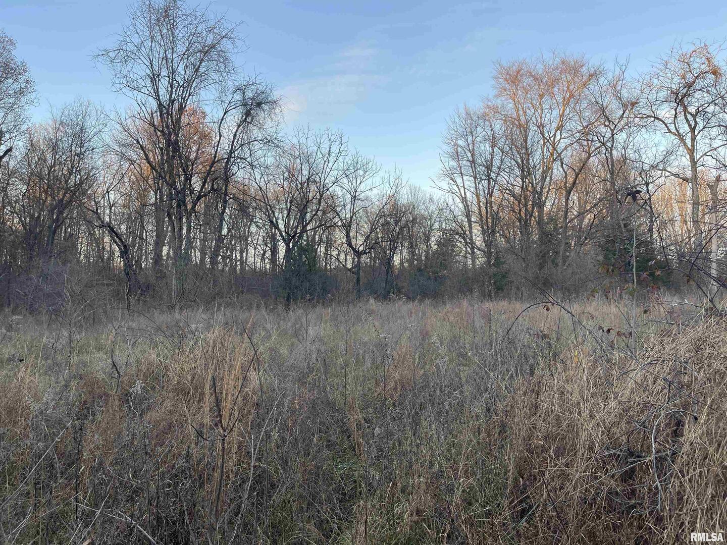 0 Raum Road Golconda, IL 62938 - Photo 3 of 14 a view of a lush green forest next to a house