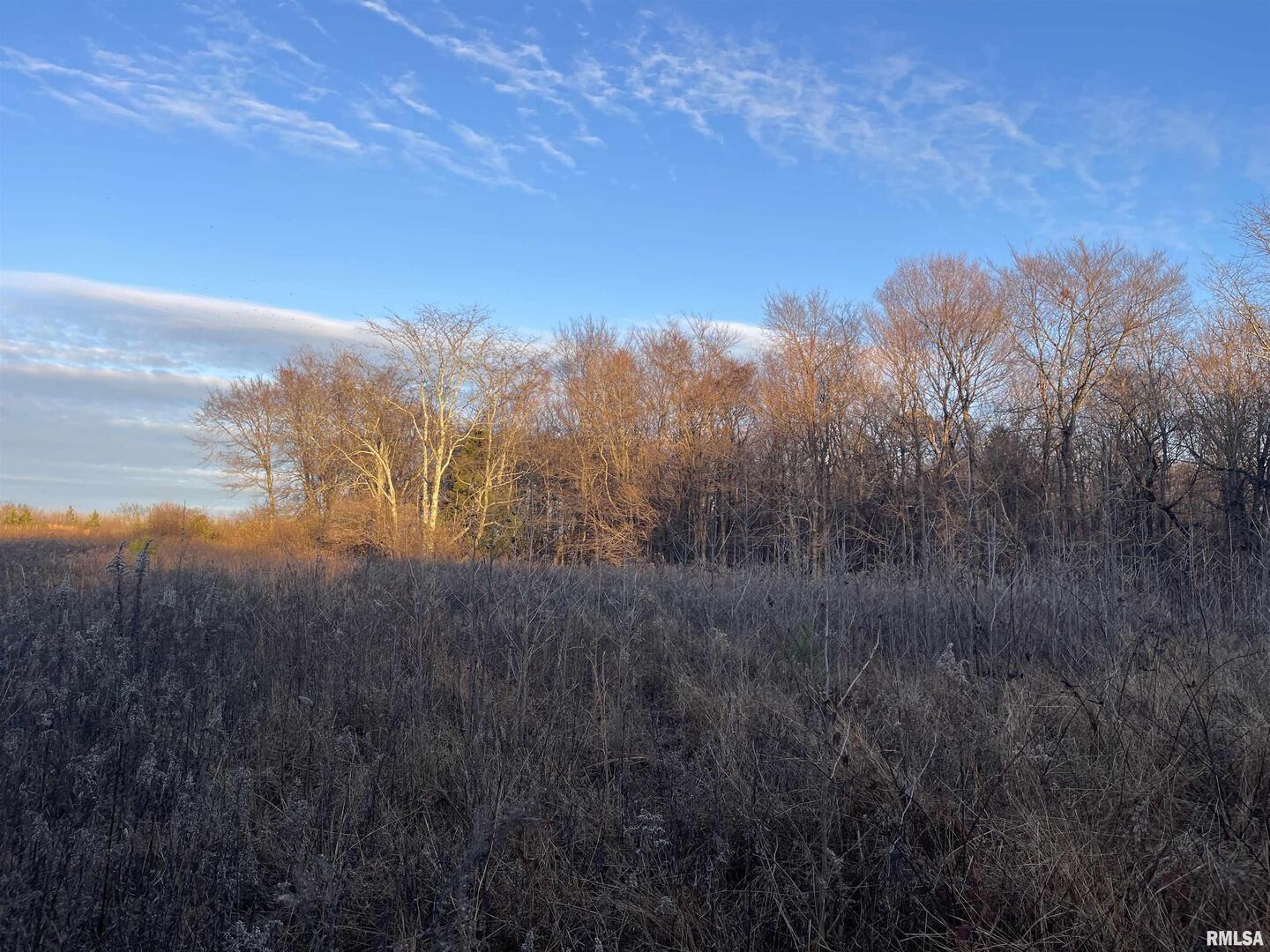 0 Raum Road Golconda, IL 62938 - Photo 4 of 14 a view of mountain