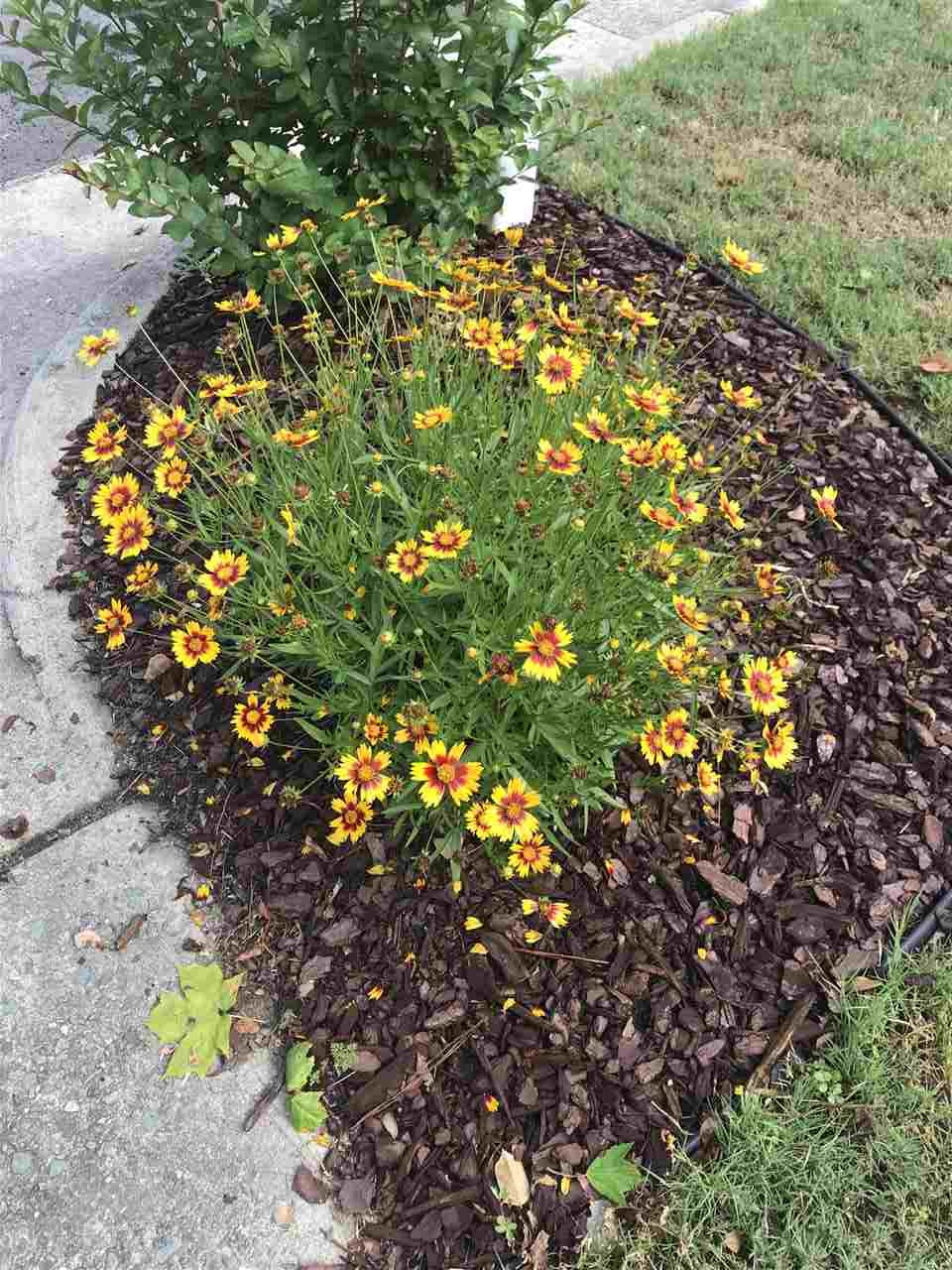 1033 Dual Parks Road Apex, NC 27502 - Photo 26 of 28 Garden