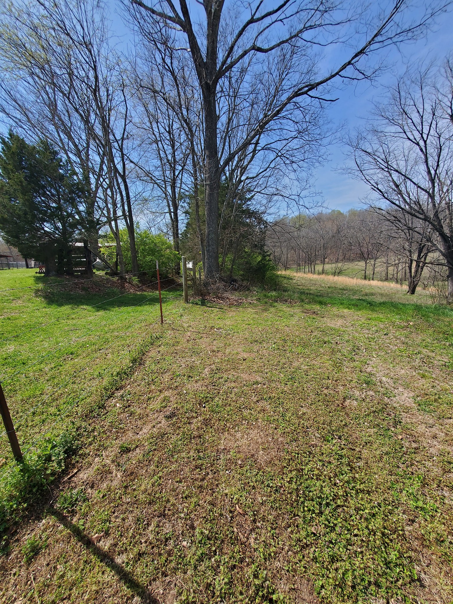 1014 Spring Creek Road Chapmansboro, TN 37035 - Photo 11 of 13 Gallery Image 11