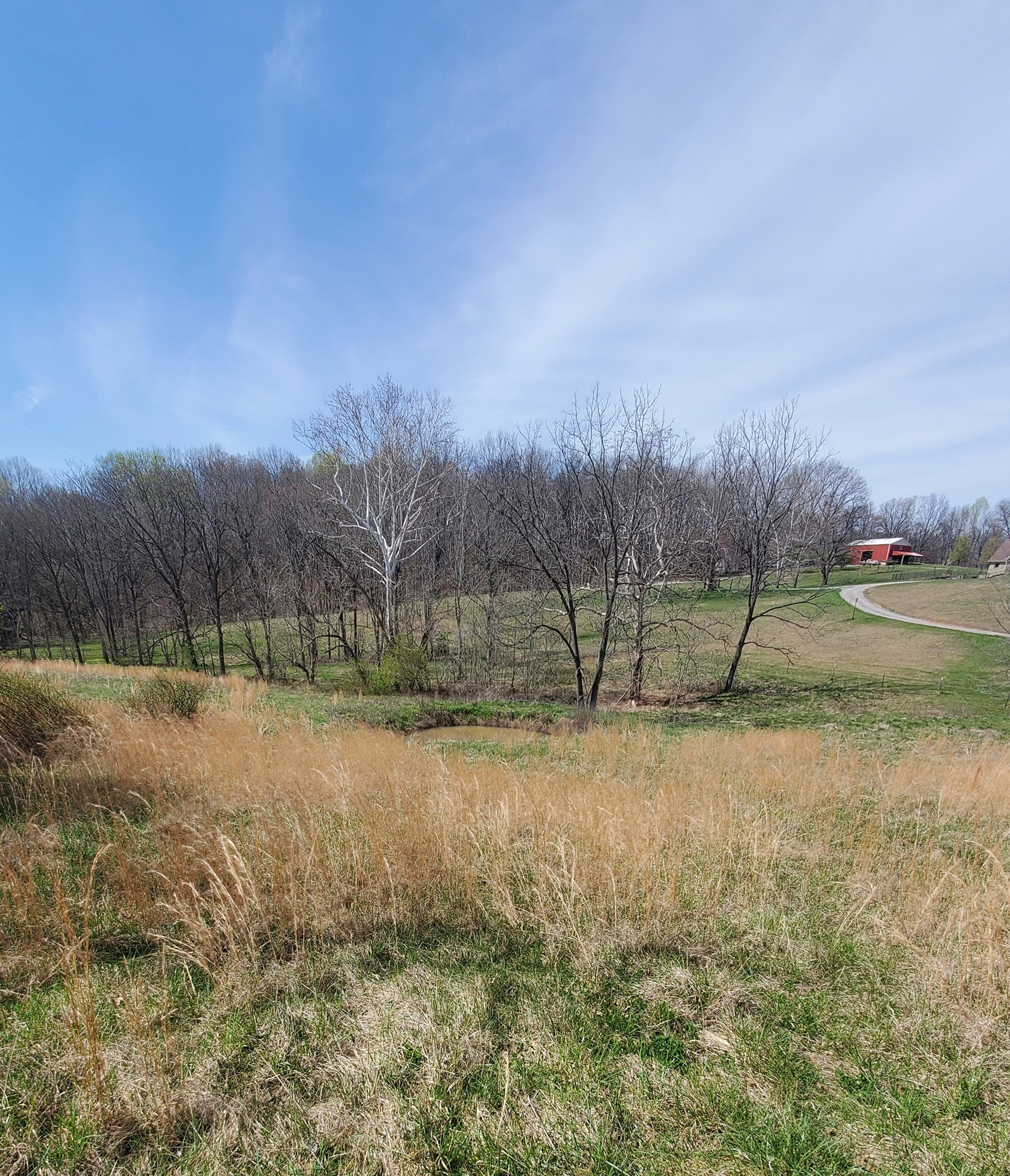 1014 Spring Creek Road Chapmansboro, TN 37035 - Photo 8 of 13 Gallery Image 8