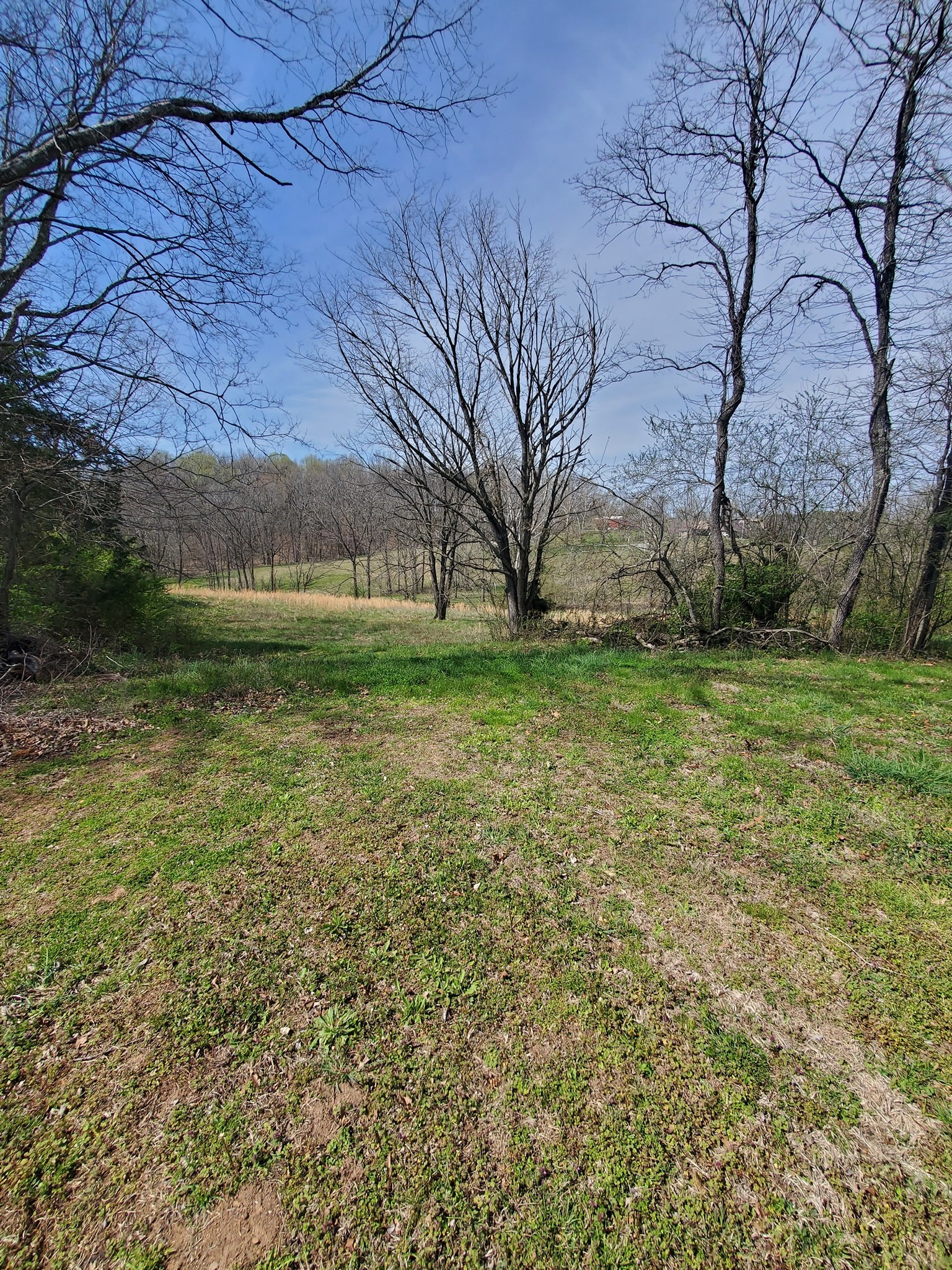 1014 Spring Creek Road Chapmansboro, TN 37035 - Photo 9 of 13 Gallery Image 9