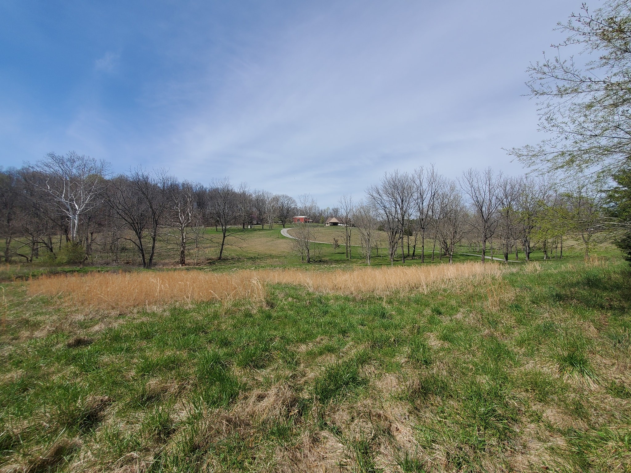 1014 Spring Creek Road Chapmansboro, TN 37035 - Photo 10 of 13 Gallery Image 10