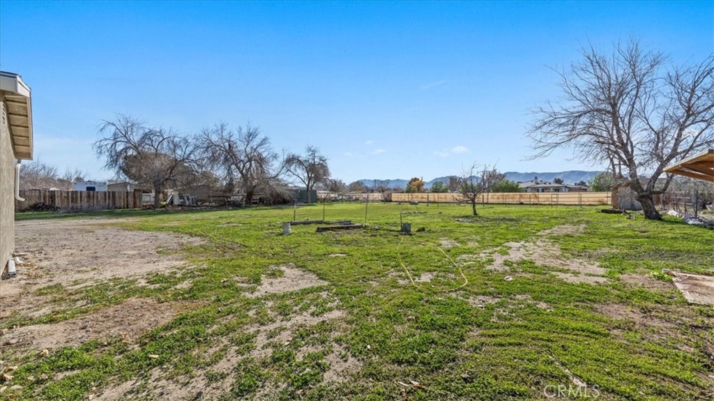 9728 East Avenue R Littlerock, CA 93543 - Photo 22 of 37 a view of large trees with a big yard