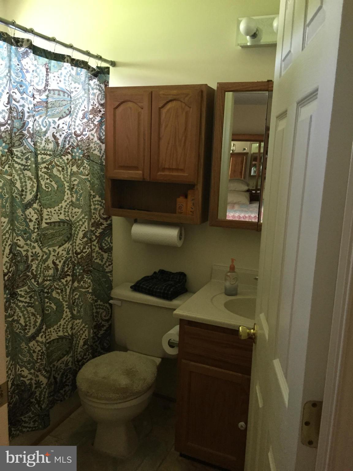 1124 Kesler Road Front Royal, VA 22630 - Photo 23 of 28 Bath (Master)