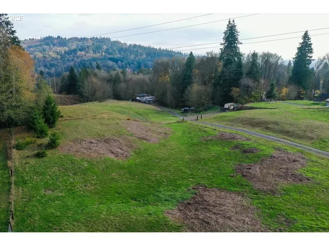 a view of a grassy field with trees in the background