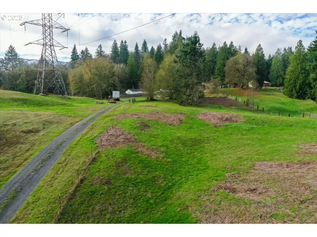 a view of a big yard with trees