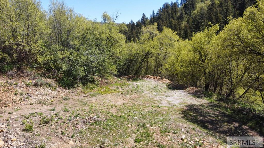 Lot 9 North Whispering Pines Road Pocatello, ID 83201 - Photo 3 of 21