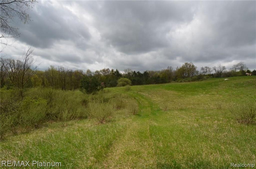 Parcel A Silverbell Road Rochester, MI 48306 - Photo 14 of 31