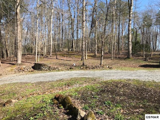 3105 Valley Home Road Sevierville, TN 37862 - Photo 22 of 26