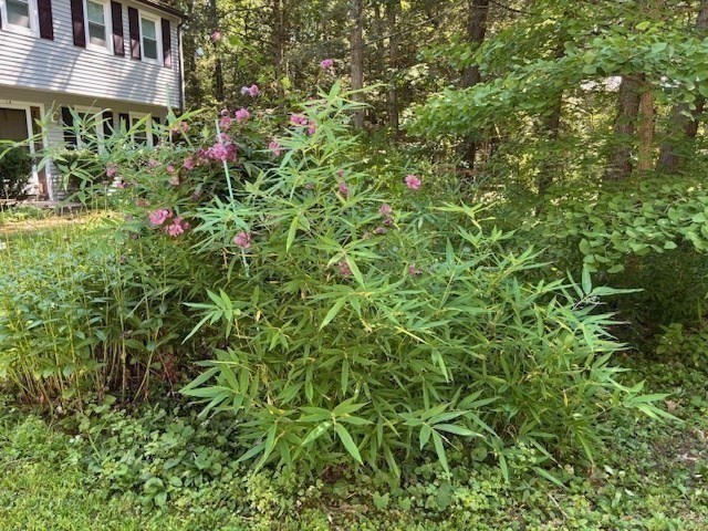 14 Pebble Ridge Road Amherst, MA 01002 - Photo 32 of 32