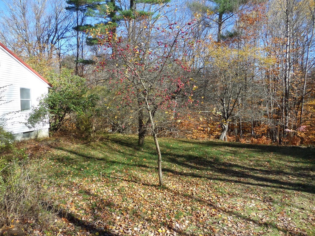 132 Scott Road Worthington, MA 01098 - Photo 2 of 31