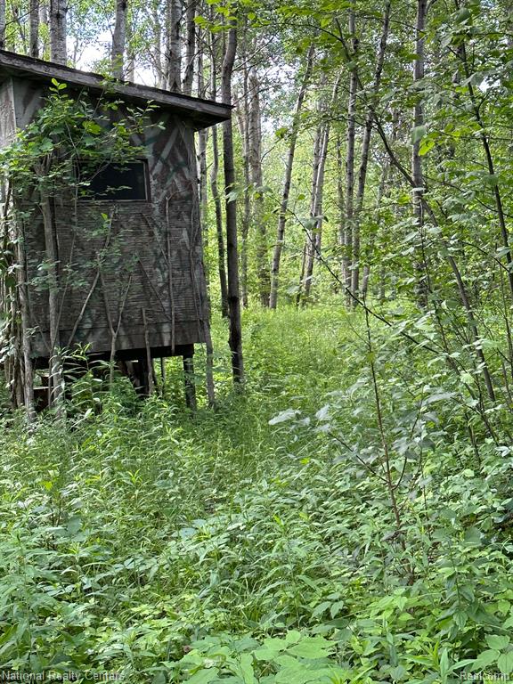 1330 East Hubert Road Spruce, MI 48762 - Photo 18 of 51 Gallery Image 18