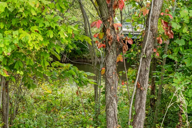 $225,000 | 0 North Main Street, Watervliet, MI 49098