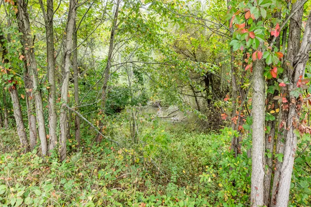 $225,000 | 0 North Main Street, Watervliet, MI 49098