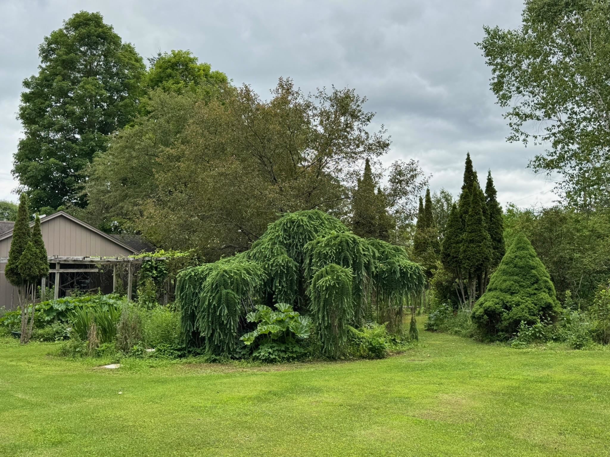 205 Loomis Hill Road Waterbury, VT 05677 - Photo 52 of 60