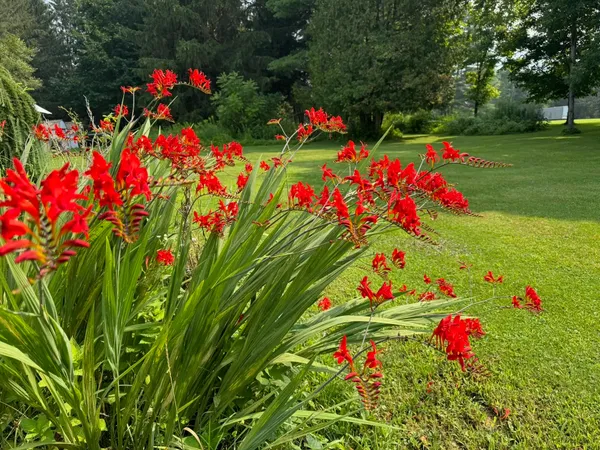 $300,000 | 205 Loomis Hill Road, Waterbury, VT 05677