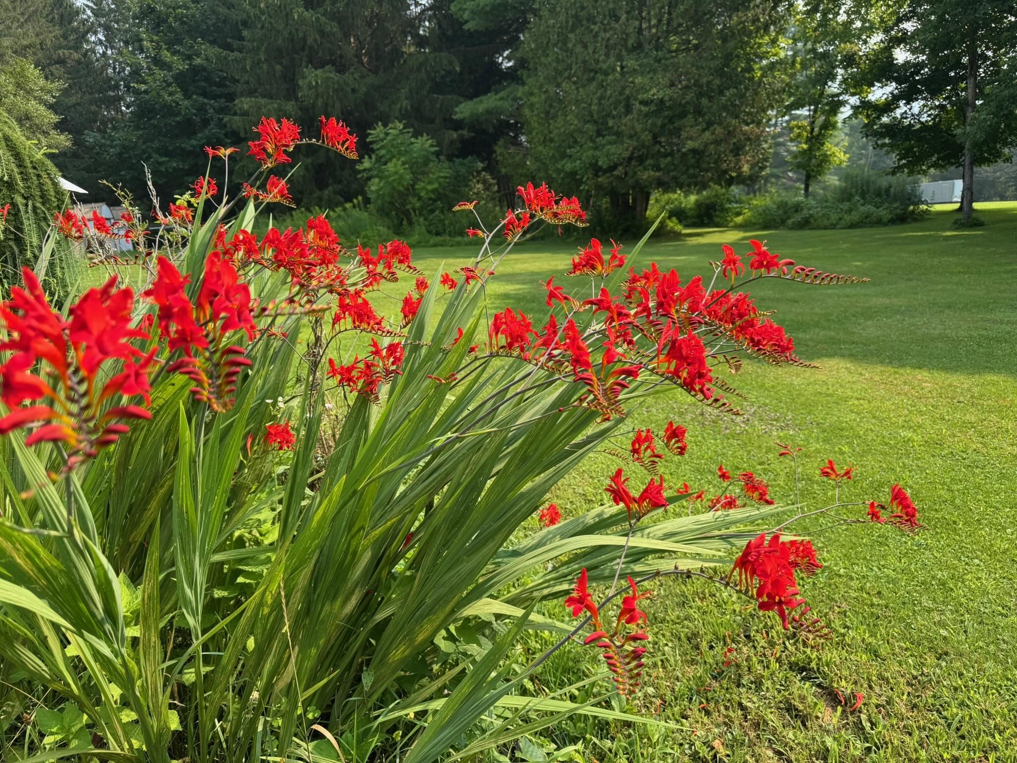 205 Loomis Hill Road Waterbury, VT 05677 - Photo 53 of 60