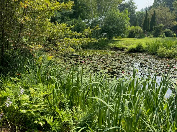 $300,000 | 205 Loomis Hill Road, Waterbury, VT 05677